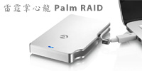 palm raid review